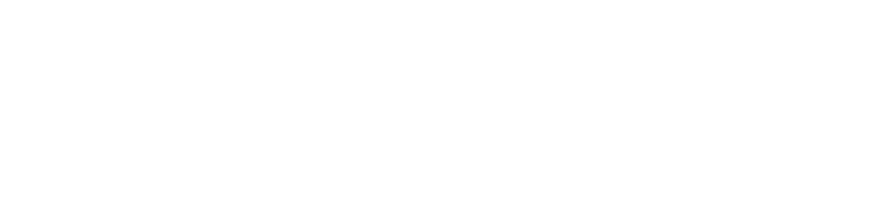 Cannon Hill Dolphins logo
